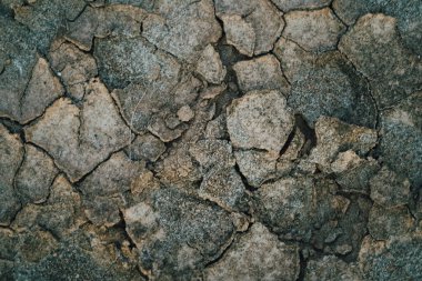 Nehirdeki Kırık Çöller