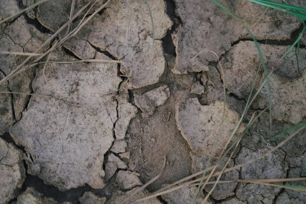 Deserto Frantumato Nel Fiume — Foto Stock