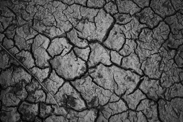 Land Gebroken Woestijn Rivier — Stockfoto