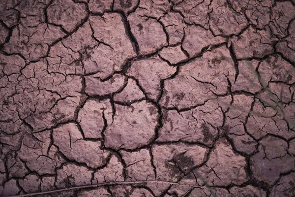 Land Gebroken Woestijn Rivier — Stockfoto