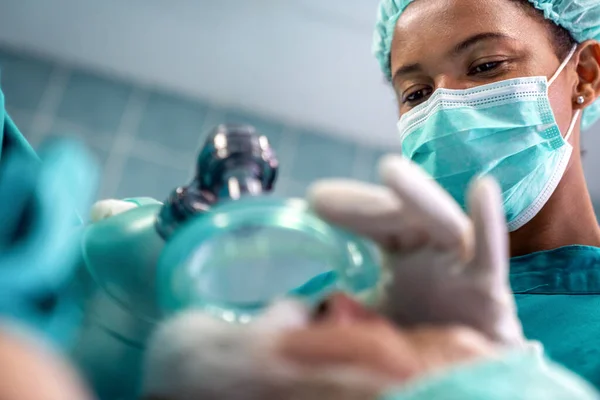 Médico Anestesiólogo Anestesió Paciente Quirúrgico Hospital Salud Cirugía Concepto Personas —  Fotos de Stock