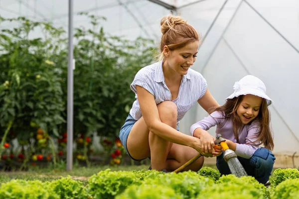 Happy Young Family Working Organic Greenhouse Woman Child Growing Bio — Stock Photo, Image