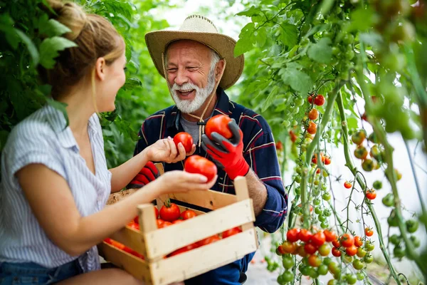 Happy Senior Man Working Together Woman Family Greenhouse Business People — Stock Photo, Image