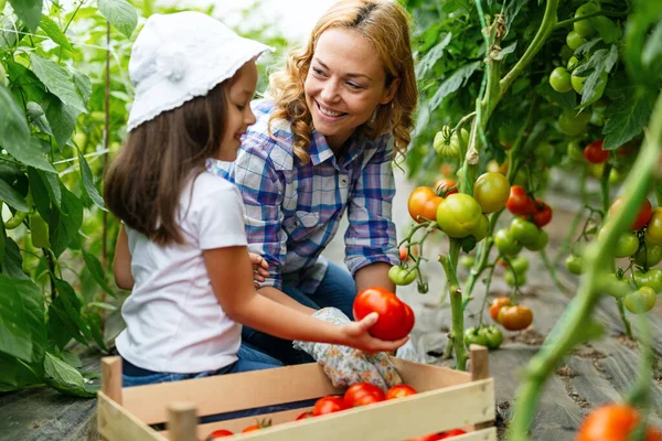 Happy Young Family Working Organic Greenhouse Woman Child Growing Bio — Stock Photo, Image