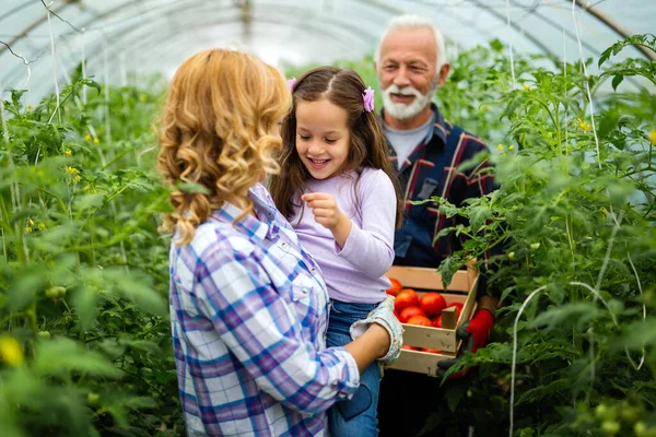 Grandfather growing vegetables with grandchildren and family at farm