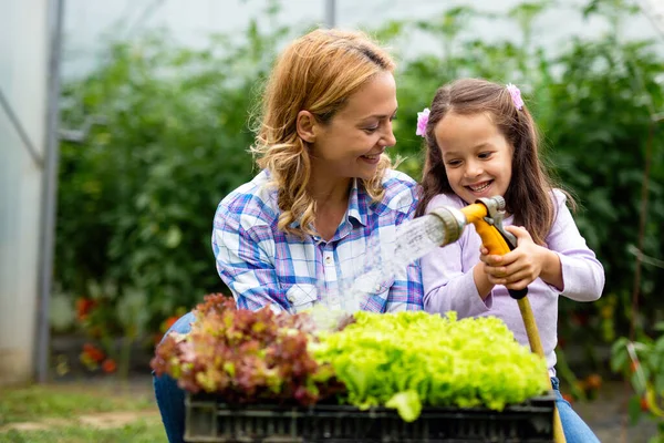 Jovem Família Feliz Trabalhando Estufa Orgânica Mulher Criança Cultivando Plantas — Fotografia de Stock