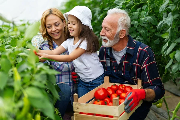 Kakek Menanam Sayuran Dengan Cucu Dan Keluarga Peternakan — Stok Foto
