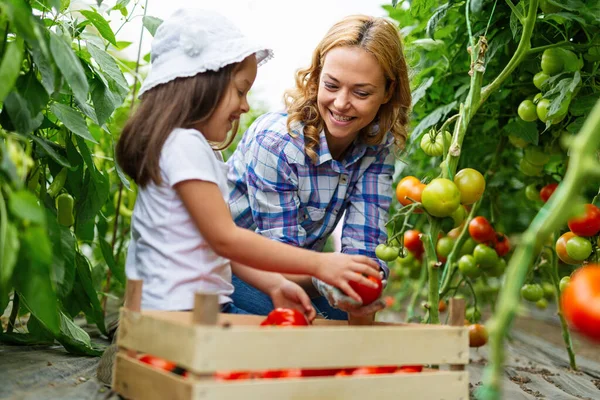 Happy Young Family Working Organic Greenhouse Woman Child Growing Bio — Stock Photo, Image