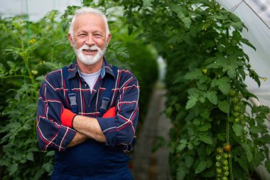 Serada çalışan mutlu ve gülümseyen son sınıf öğrencisi. İnsanlar organik sağlıklı gıda kavramı