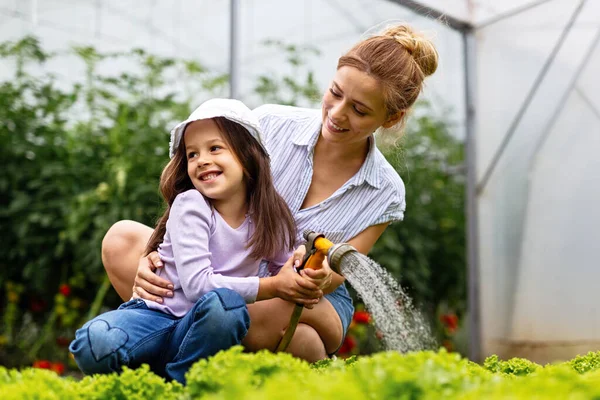 Jovem Família Feliz Trabalhando Estufa Orgânica Mulher Criança Cultivando Plantas — Fotografia de Stock