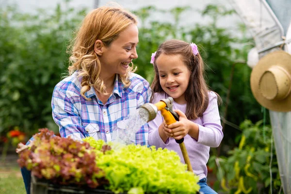 Jovem Família Feliz Trabalhando Estufa Orgânica Mulher Criança Cultivando Plantas — Fotografia de Stock