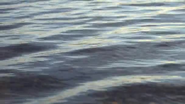 Водна Поверхня Відбиття Сонячного Світла Ранок Природа — стокове відео