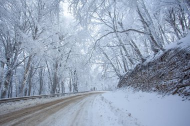 Sabaduri Ormanı yolu karla kaplı. Kış zamanı. Peyzaj