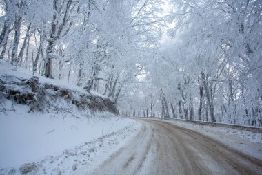 Sabaduri Ormanı yolu karla kaplı. Kış zamanı. Manzara. Georgia
