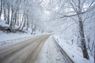 Sabaduri Ormanı yolu karla kaplı. Kış zamanı. Manzara. Georgia