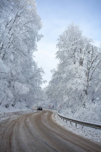Sabaduri Ormanı yolu karla kaplı. Kış zamanı. Manzara. Georgia