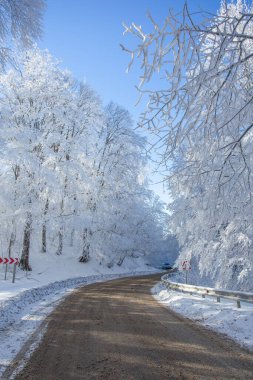 Sabaduri Ormanı yolu karla kaplı. Kış zamanı. Manzara. Georgia