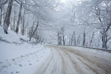 Sabaduri Ormanı yolu karla kaplı. Kış zamanı. Manzara. Georgia