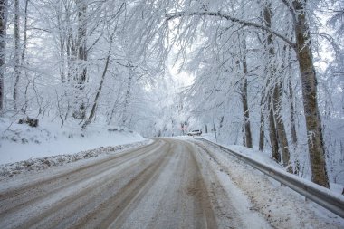 Sabaduri Ormanı yolu karla kaplı. Kış zamanı. Manzara. Georgia