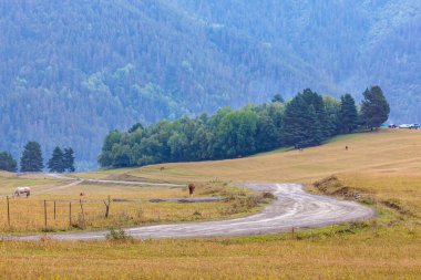 Omalo 'daki yüksek dağ köyü Tusheti' deki dağ yolu. Georgia 'ya git.