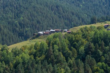 Tusheti, Georiga 'daki dağlık köyün güzel manzarası. Seyahat