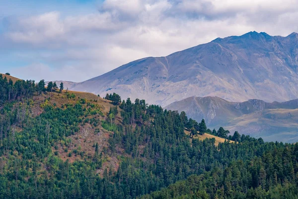 Prachtig Landschap Van Bergachtige Regio Georgia Tusheti Reizen — Stockfoto