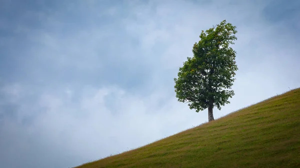 Beskogade Bergen Mot Den Blå Himlen Landskap Fågelägg — Stockfoto