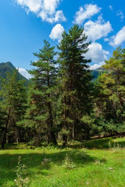 Mavi gökyüzüne karşı orman dağları. Peyzaj. Tusheti