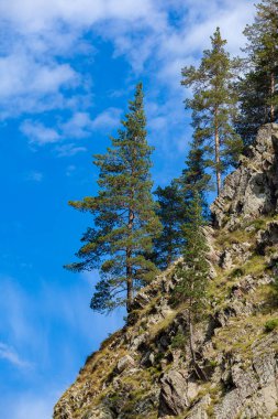 Mavi gökyüzüne karşı orman dağları. Peyzaj. Tusheti