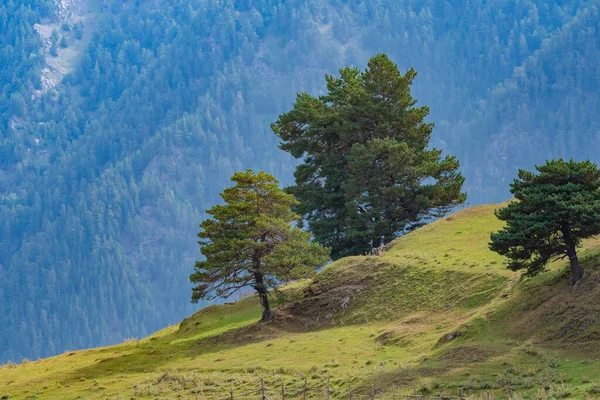 Piękny Krajobraz Górskiego Regionu Gruzji Tusheti Podróże — Zdjęcie stockowe
