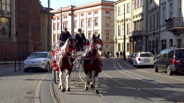 Cracovia Polonia Marzo 2022 Caballos Carruajes Salen Las Calles — Vídeos de Stock
