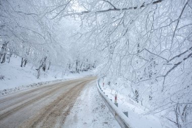 Sabaduri Ormanı yolu karla kaplı. Kış zamanı. Manzara. Georgia