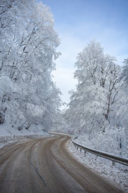 Sabaduri Ormanı yolu karla kaplı. Kış zamanı. Manzara. Georgia