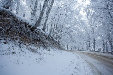 Sabaduri Ormanı yolu karla kaplı. Kış zamanı. Manzara. Georgia