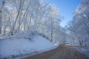Sabaduri Ormanı yolu karla kaplı. Kış zamanı. Manzara. Georgia