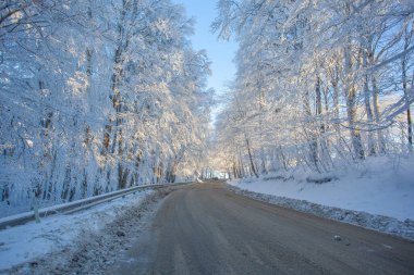 Sabaduri Ormanı yolu karla kaplı. Kış zamanı. Manzara. Georgia