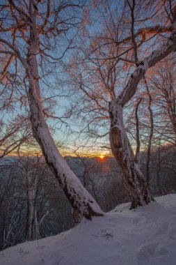 Sabaduri ormanında gün batımı, güzel kış manzarası. Georgia