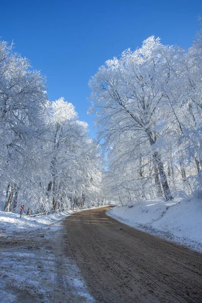 Sabaduri Ormanı yolu karla kaplı. Kış zamanı. Manzara. Georgia