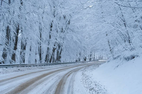 Sabaduri Ormanı yolu karla kaplı. Kış zamanı. Manzara. Georgia
