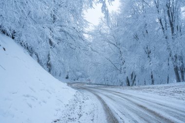 Sabaduri Ormanı yolu karla kaplı. Kış zamanı. Manzara. Georgia