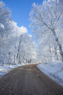 Sabaduri Ormanı yolu karla kaplı. Kış zamanı. Manzara. Georgia