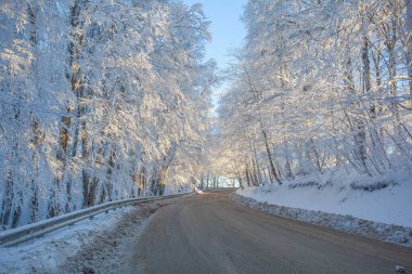 Sabaduri Ormanı yolu karla kaplı. Kış zamanı. Manzara. Georgia