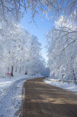 Sabaduri Ormanı yolu karla kaplı. Kış zamanı. Manzara. Georgia