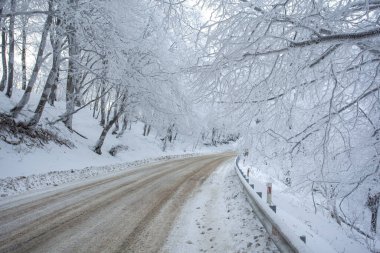 Sabaduri Ormanı yolu karla kaplı. Kış zamanı. Manzara. Georgia