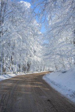 Sabaduri Ormanı yolu karla kaplı. Kış zamanı. Manzara. Georgia
