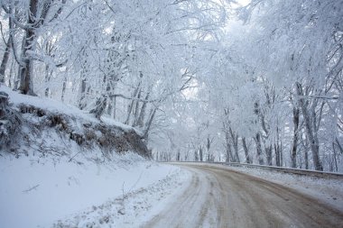 Sabaduri Ormanı yolu karla kaplı. Kış zamanı. Manzara. Georgia