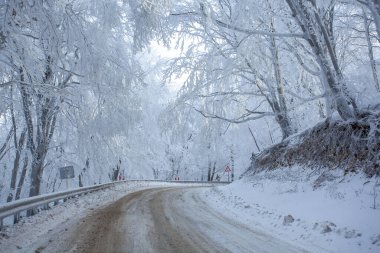 Sabaduri Ormanı yolu karla kaplı. Kış zamanı. Manzara. Georgia