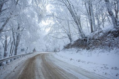 Sabaduri Ormanı yolu karla kaplı. Kış zamanı. Manzara. Georgia