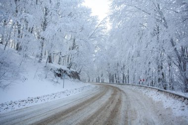 Sabaduri Ormanı yolu karla kaplı. Kış zamanı. Manzara. Georgia