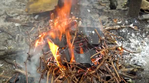 Coals Barbecue Fire Shashlik — Stockvideo